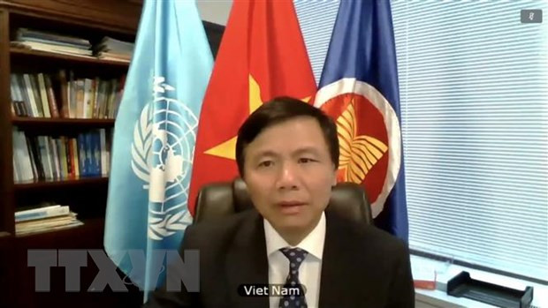 越南为联合国做出积极和切实的贡献 ảnh 2 越南为联合国做出积极和切实的贡献 ảnh 2
