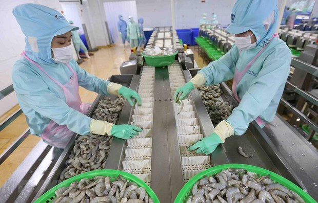 EVFTA实施两个月后立即对越南产生积极影响 ảnh 1 EVFTA实施两个月后立即对越南产生积极影响 ảnh 1