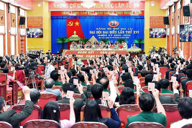 越共中央书记处常务书记陈国旺出席越共嘉莱省第十六次代表大会 ảnh 2