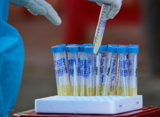 越南连续25天无新增新冠肺炎确诊病例 ảnh 1