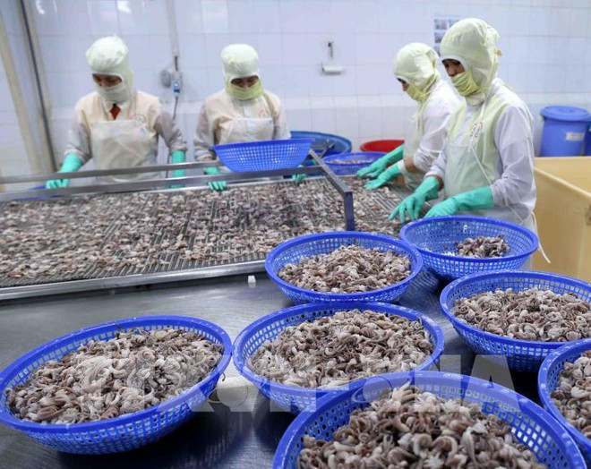 EVFTA为越南水产品出口注入新动力 ảnh 1 EVFTA为越南水产品出口注入新动力 ảnh 1