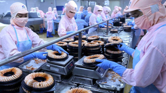 对自贸市场虾类出口猛增 企业扩大生产规模 ảnh 1
