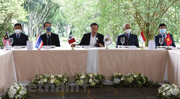 东盟与墨西哥韦拉克鲁斯州共促经贸投资合作大发展 ảnh 1