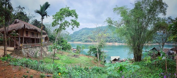 世界与越南旅游新趋势 ảnh 5