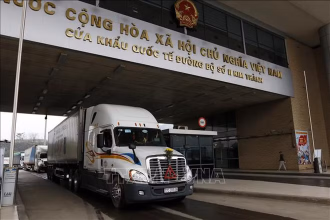 越南果蔬对中国出口一直保持增长势头 ảnh 2