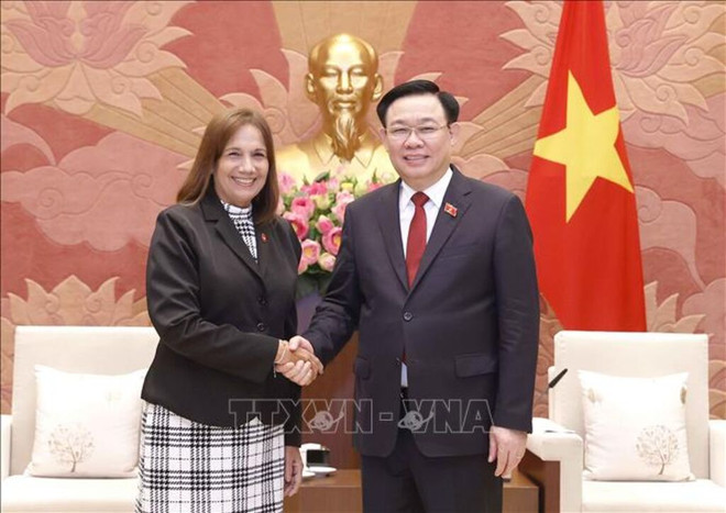 越南与古巴的特殊友谊:国际关系的典范 ảnh 1 越南与古巴的特殊友谊:国际关系的典范 ảnh 1