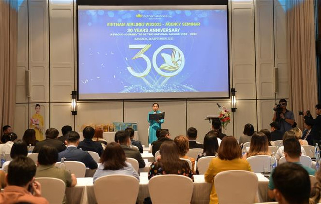 越航开通越南岘港至泰国廊曼机场直达航线 ảnh 1 越航开通越南岘港至泰国廊曼机场直达航线 ảnh 1