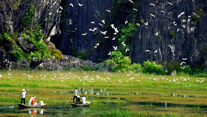 越南努力实现生态旅游发展与生物多样性保护相结合 ảnh 2