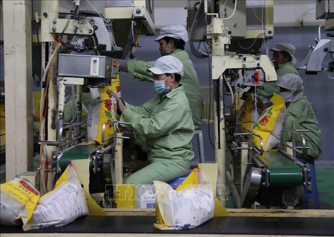 促进越南与孟加拉国传统友好合作关系 ảnh 3 促进越南与孟加拉国传统友好合作关系 ảnh 3