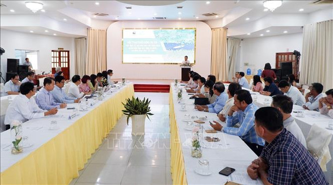 努力恢复九龙江三角洲湿地环境 ảnh 1 努力恢复九龙江三角洲湿地环境 ảnh 1