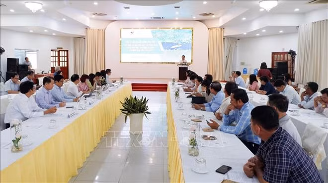 努力恢复九龙江三角洲湿地环境 ảnh 1 努力恢复九龙江三角洲湿地环境 ảnh 1