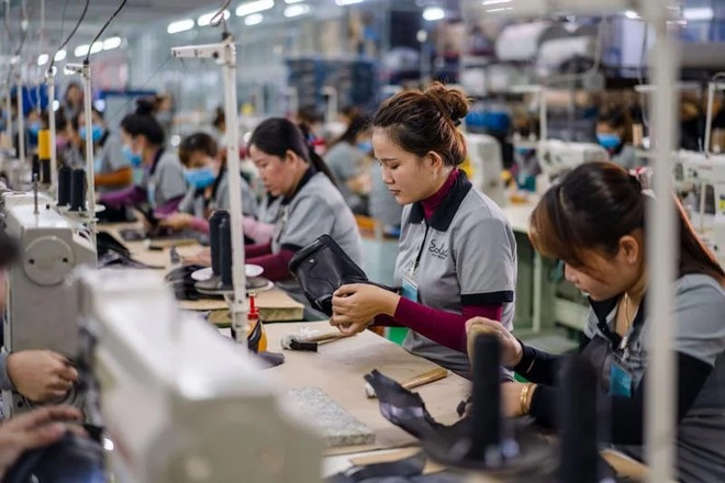 促进经济增长的三大支柱 ảnh 1 促进经济增长的三大支柱 ảnh 1