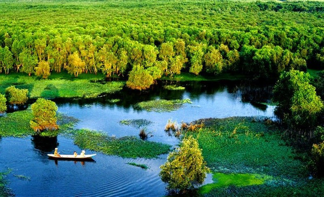 努力恢复九龙江三角洲湿地环境 ảnh 2 努力恢复九龙江三角洲湿地环境 ảnh 2
