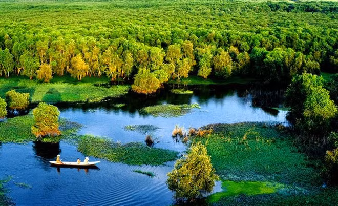 努力恢复九龙江三角洲湿地环境 ảnh 2 努力恢复九龙江三角洲湿地环境 ảnh 2