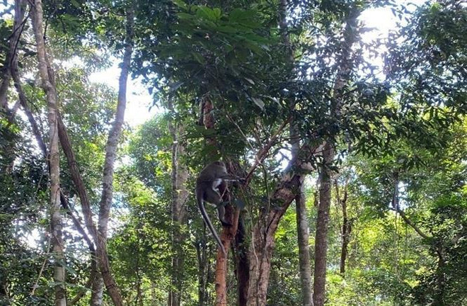 ☕️越通社新闻下午茶（2023.9.26） ảnh 3