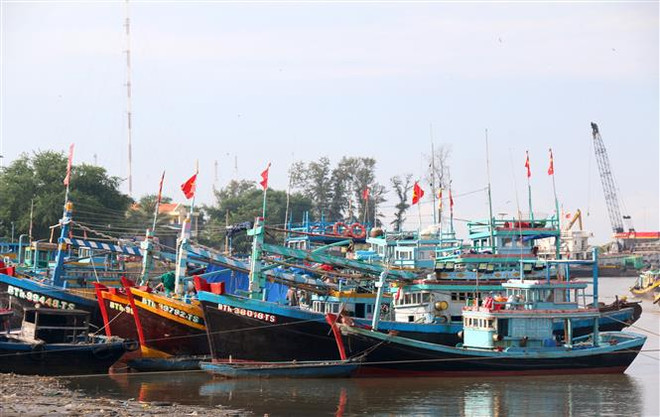 解除IUU“黄牌”警告:平顺省全部渔船已安装船舶监测系统 ảnh 1 解除IUU“黄牌”警告:平顺省全部渔船已安装船舶监测系统 ảnh 1