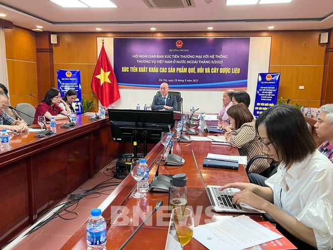 越南积极拓展药材的出口市场 ảnh 1 越南积极拓展药材的出口市场 ảnh 1