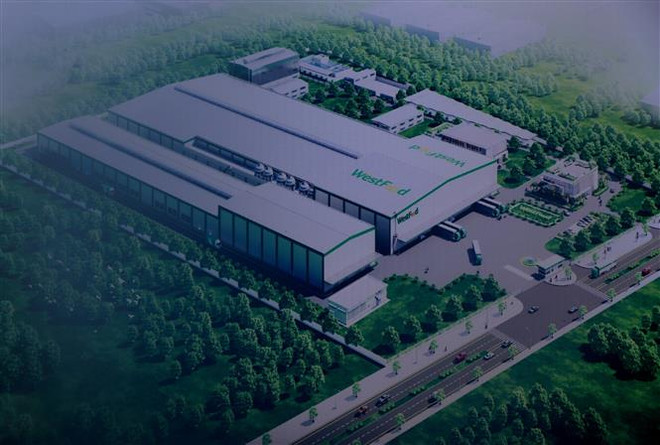 越南西部地区大规模农产品加工厂动工兴建 ảnh 2