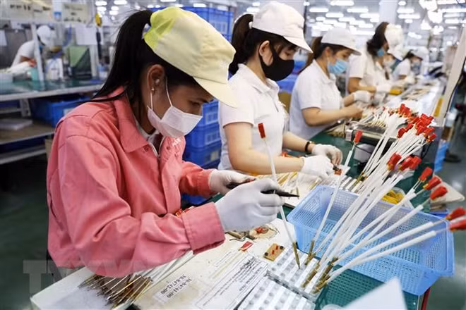 河南省各工业园区吸引15个新投资项目 ảnh 1