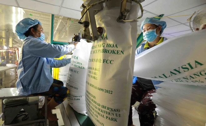 越南大米出口前景广阔 ảnh 1 越南大米出口前景广阔 ảnh 1