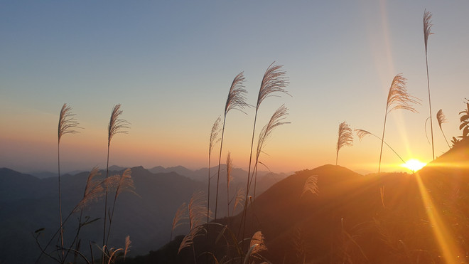 广宁省为2023年平辽金色稻田节系列活动做好充分的准备 ảnh 4 广宁省为2023年平辽金色稻田节系列活动做好充分的准备 ảnh 4