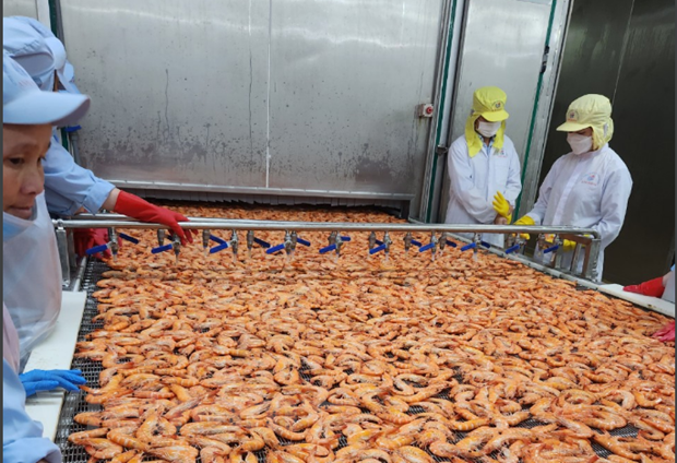 新加坡大华银行将越南2023年GDP增长预测下调至5% ảnh 1