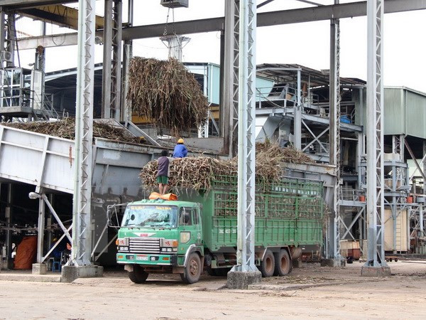 越南制糖业:促进结构调整加快融入步伐 ảnh 1 越南制糖业:促进结构调整加快融入步伐 ảnh 1