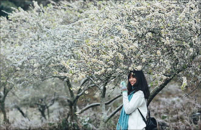 越南传统春节度假五大天堂 ảnh 2 越南传统春节度假五大天堂 ảnh 2