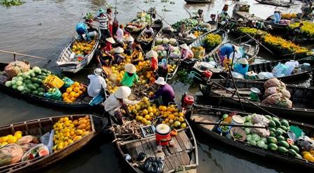 芹苴市期望成为九龙江三角洲地区的中心 ảnh 1 芹苴市期望成为九龙江三角洲地区的中心 ảnh 1