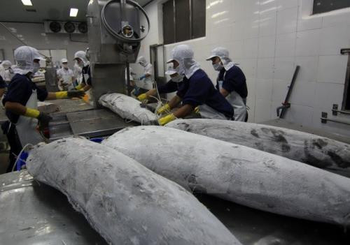 进一步加强胡志明市与日本宫城县的合作 ảnh 1