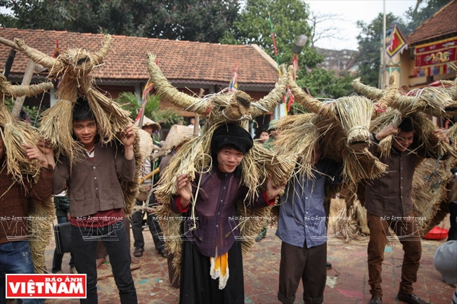 大同乡“草牛”庙会 ảnh 10 大同乡“草牛”庙会 ảnh 10