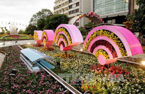 国会主席阮氏金银出席2017丁酉年春节阮惠花街开街仪式 ảnh 4