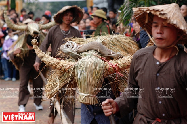 大同乡“草牛”庙会 ảnh 4 大同乡“草牛”庙会 ảnh 4