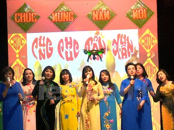 旅居捷克和埃及越侨举行喜迎2017丁酉春节活动 ảnh 1 旅居捷克和埃及越侨举行喜迎2017丁酉春节活动 ảnh 1