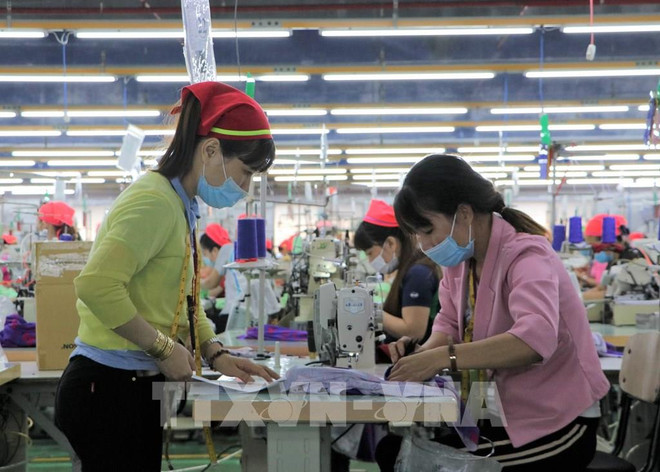 今年10月份越南复工企业数量增长近30% ảnh 1 今年10月份越南复工企业数量增长近30% ảnh 1