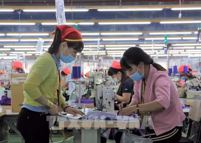 今年10月份越南复工企业数量增长近30% ảnh 1 今年10月份越南复工企业数量增长近30% ảnh 1