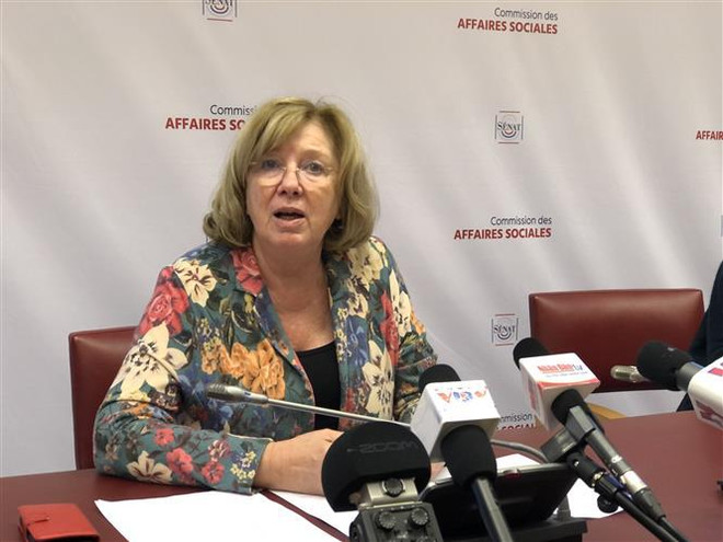 法国参议院法越议员友好小组主席:法国高度重视与越南的战略伙伴关系 ảnh 1 法国参议院法越议员友好小组主席:法国高度重视与越南的战略伙伴关系 ảnh 1