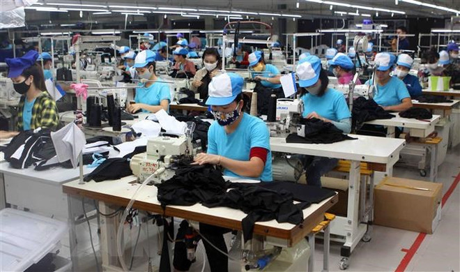 加拿大向平阳省受新冠肺炎疫情影响的女性移居劳动者提供紧急支持 ảnh 1