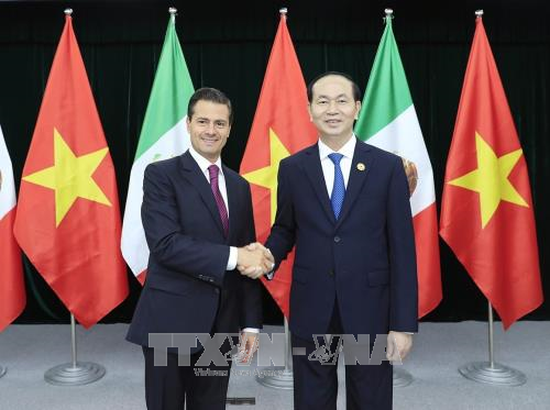 陈大光分别与秘鲁和墨西哥两国总统举行双边会晤 ảnh 2