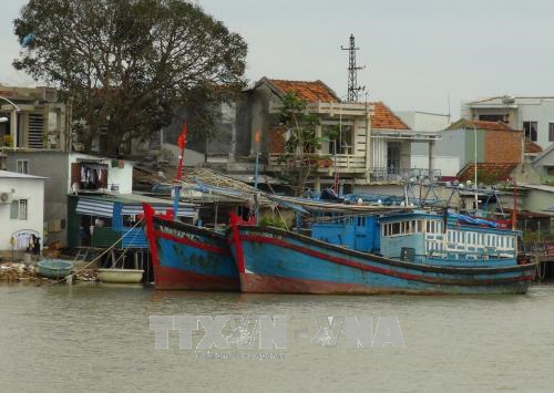 第十四号台风即将登陆越南 中央预防自然灾害指导委员会下发关于抗暴的通知 ảnh 1 第十四号台风即将登陆越南 中央预防自然灾害指导委员会下发关于抗暴的通知 ảnh 1