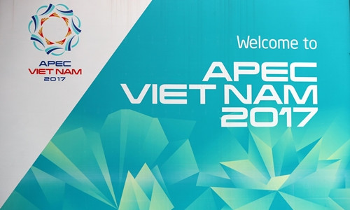 APEC第25次领导人会议今日在岘港市召开 ảnh 1