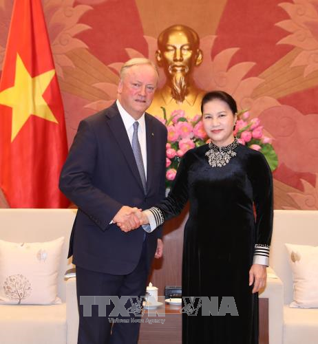 越南国会主席阮氏金银会见德勤全球主席柯睿尚 ảnh 1 越南国会主席阮氏金银会见德勤全球主席柯睿尚 ảnh 1