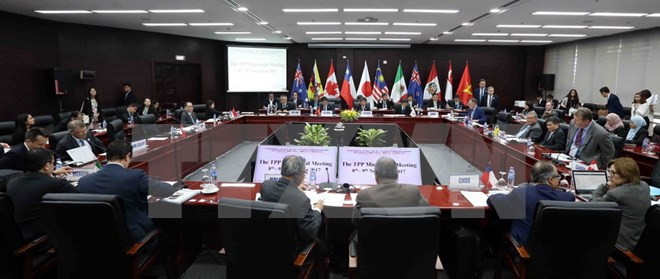 2017年APEC 会议:中方强调TPP不会影响到RCEP ảnh 1 2017年APEC 会议:中方强调TPP不会影响到RCEP ảnh 1