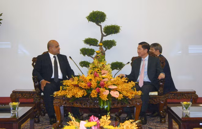 胡志明市与埃及促进行政监察合作 ảnh 1