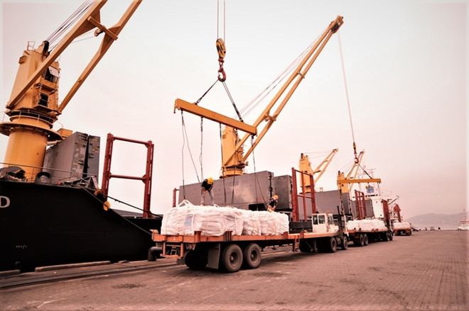 越南海关为nCoV肺炎疫情防控所需的应急产品进口手续办理创造便利条件 ảnh 1