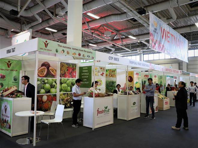 越南企业参加2020年德国柏林国际水果蔬菜展览会 ảnh 2 越南企业参加2020年德国柏林国际水果蔬菜展览会 ảnh 2