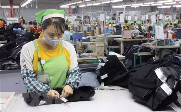 越南共产党建党90周年：阿尔及利亚将越南视为经济发展的典范 ảnh 1