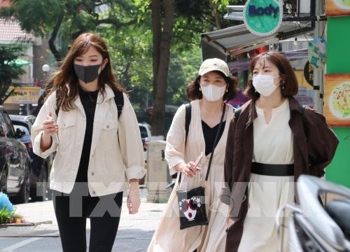 新型冠状病毒感染肺炎疫情：越南旅游企业寻找措施 减少nCoV疫情构成的影响 ảnh 1