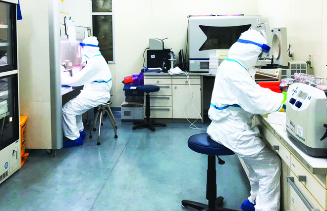 新型冠状病毒感染肺炎疫情:越南成为世界成功培养和分离新型冠状病毒毒株的第三个国家 ảnh 1 新型冠状病毒感染肺炎疫情:越南成为世界成功培养和分离新型冠状病毒毒株的第三个国家 ảnh 1