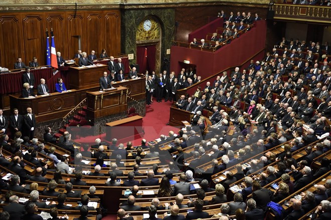 法国国民议会通过《越南—欧盟全面合作伙伴框架协定》 ảnh 1